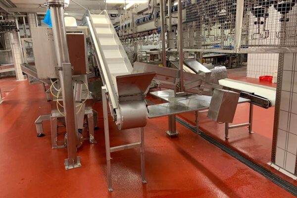 Uphill conveyor belts with flights for meat processing