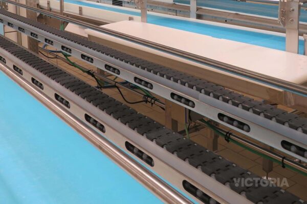 Unidirectional conveyor belt for meat processing